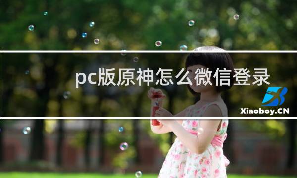 pc版原神怎么微信登录