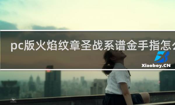 pc版火焰纹章圣战系谱金手指怎么用