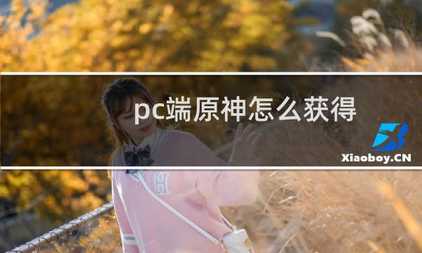 pc端原神怎么获得
