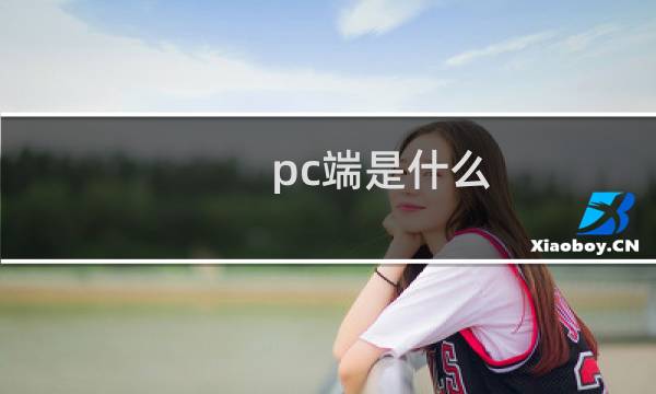 pc端是什么(pc端)