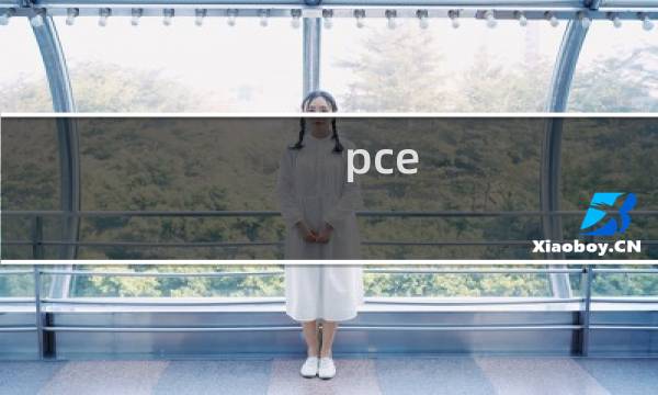 pce 攻略