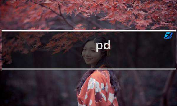 pd 饭圈pd什么梗
