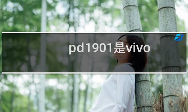 pd1901是vivo什么手机
