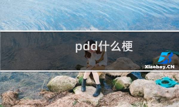 pdd什么梗