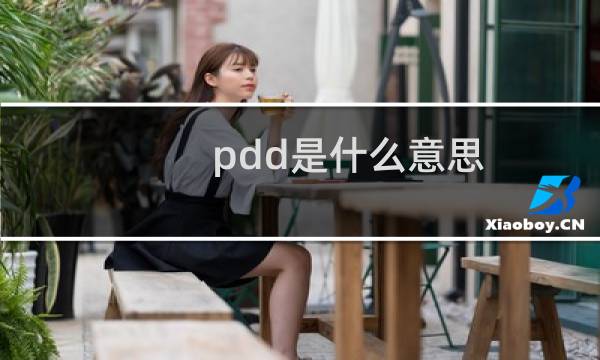 pdd是什么意思