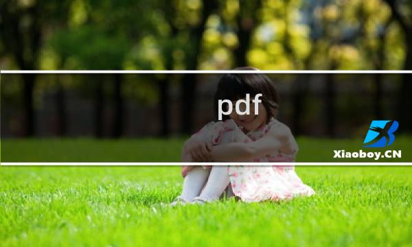 pdf 攻略书