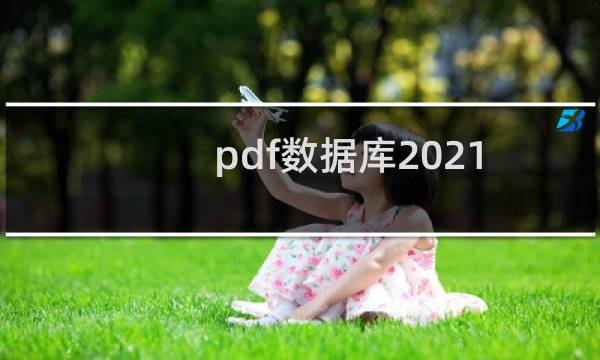 pdf数据库2021