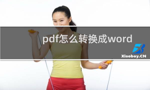 pdf怎么转换成word