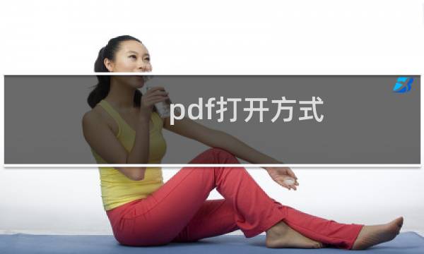 pdf打开方式（pdf打开方式）