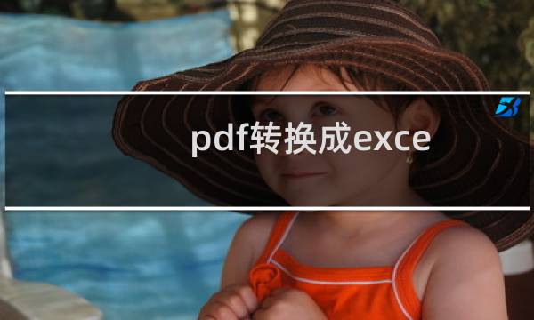 pdf转换成excel收费（pdf转换成excel）图片