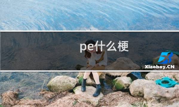 pe什么梗