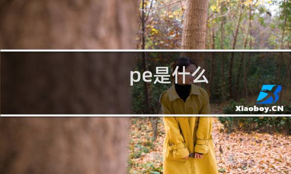 pe是什么