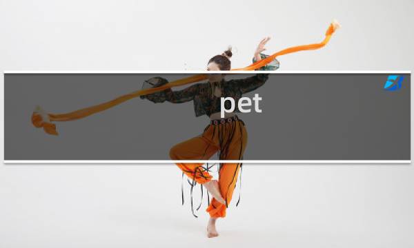 pet 5 攻略
