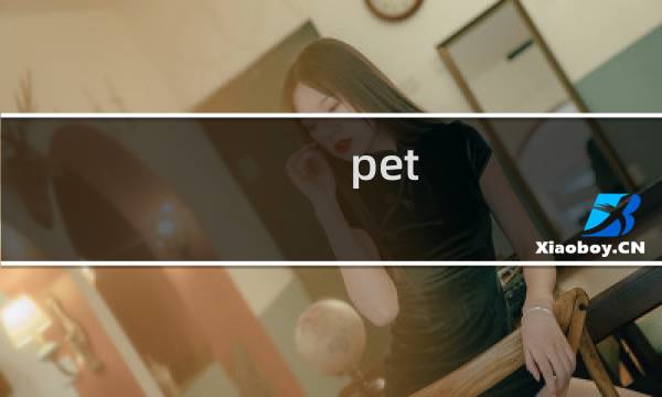 pet girl攻略