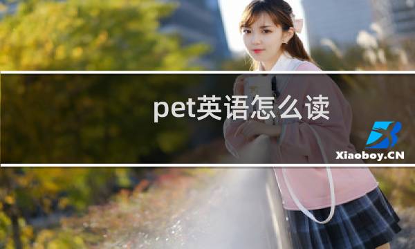 pet英语怎么读