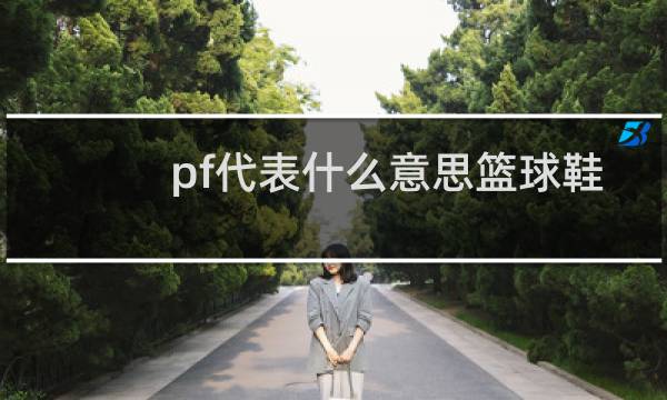 pf代表什么意思篮球鞋