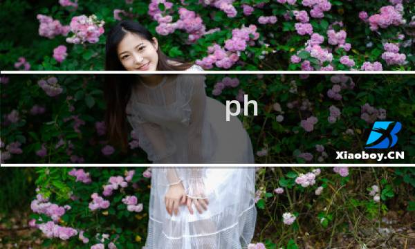 ph 攻略