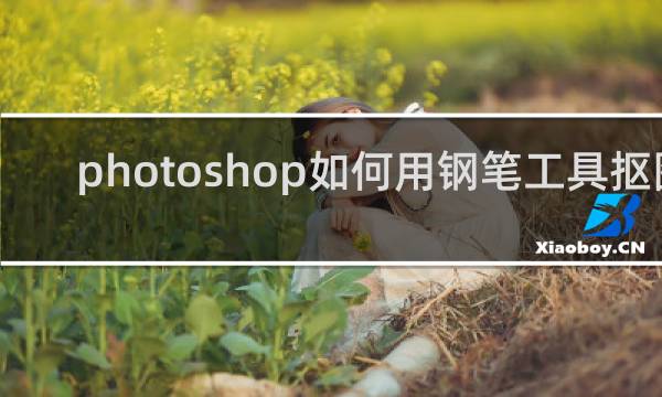 photoshop如何用钢笔工具抠图