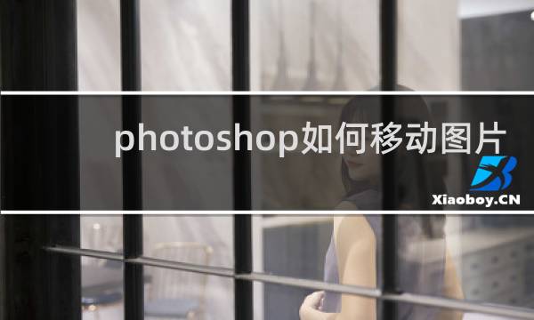 photoshop如何移动图片