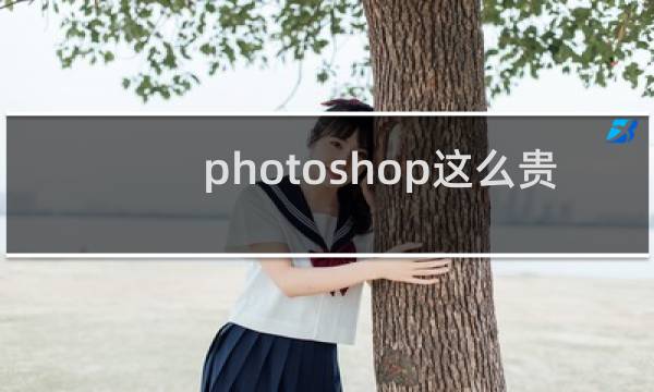 photoshop这么贵