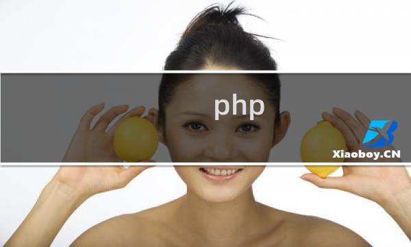 php 数据分析