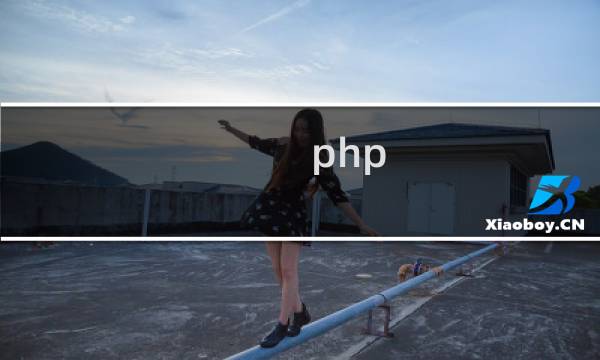 php ip地址查询