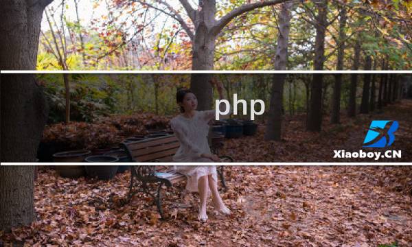 php jssdk