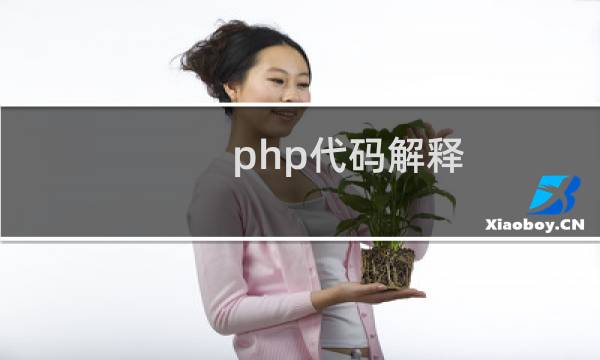 php代码解释
