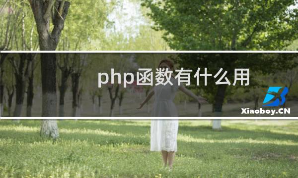 php函数有什么用
