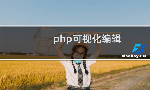 php可视化编辑