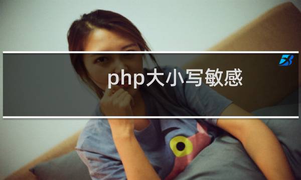 php大小写敏感