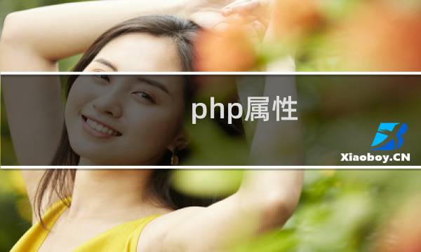 php属性