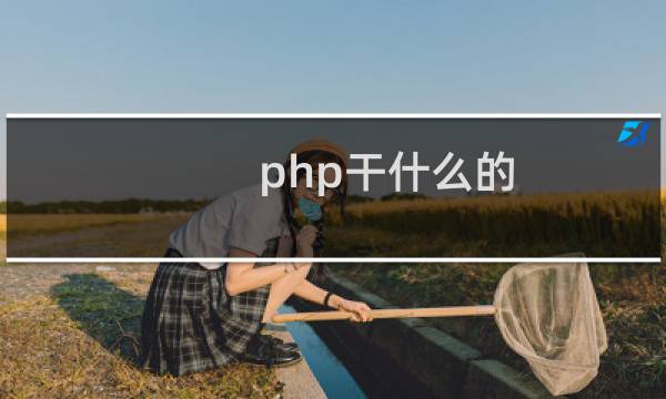 php干什么的