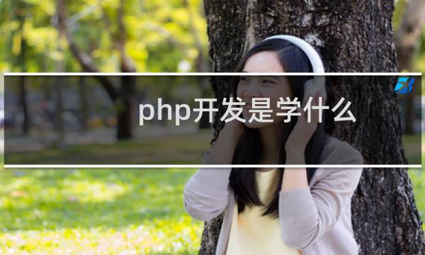 php开发是学什么