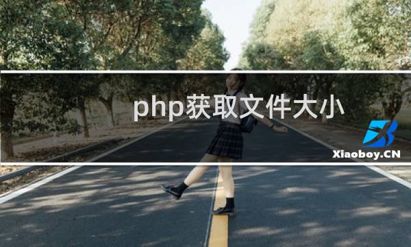 php获取文件大小