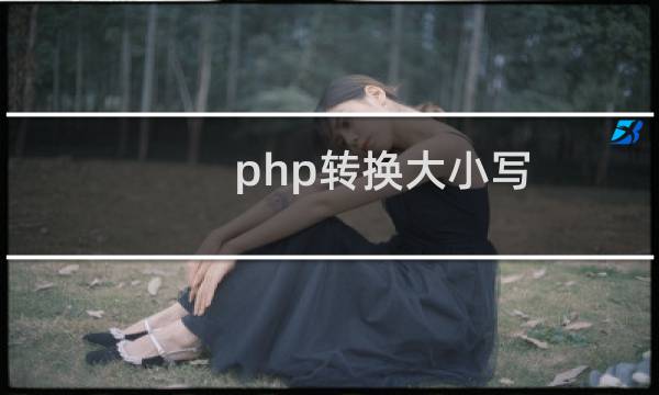php转换大小写