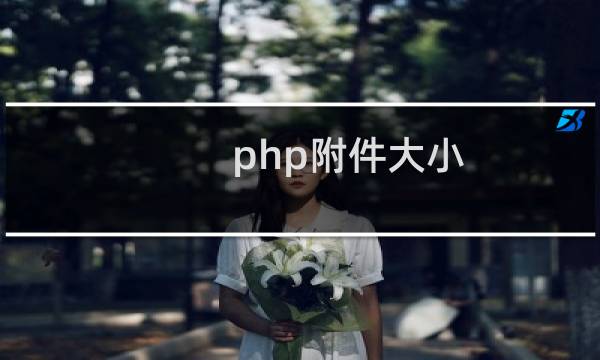 php附件大小
