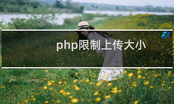 php限制上传大小