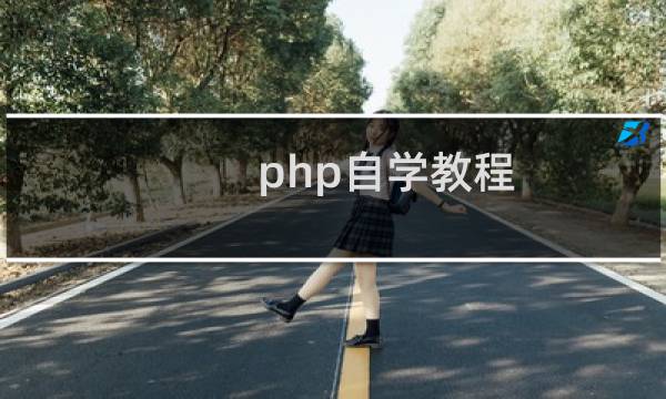 php自学教程（PHP怎么学）
