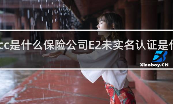 picc是什么保险公司E2未实名认证是什么意思