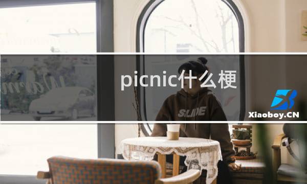 picnic什么梗