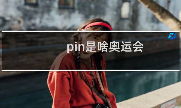 pin是啥奥运会