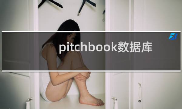pitchbook数据库