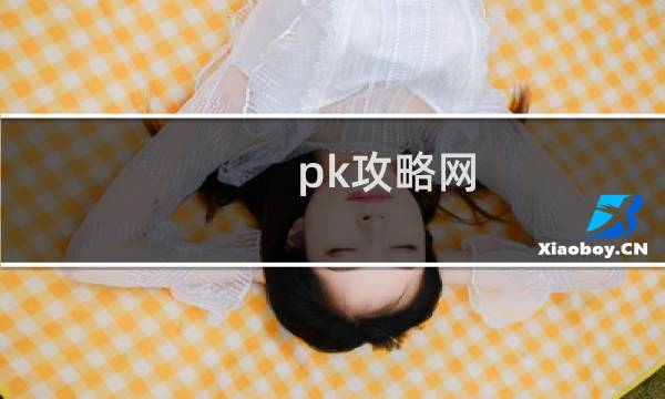 pk攻略网