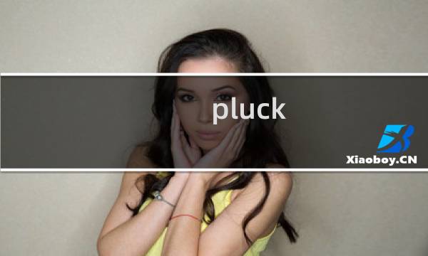 pluck it攻略