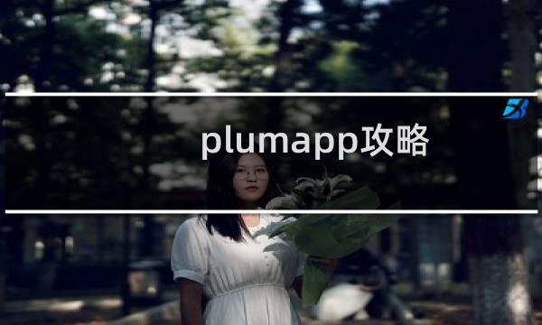 plumapp攻略