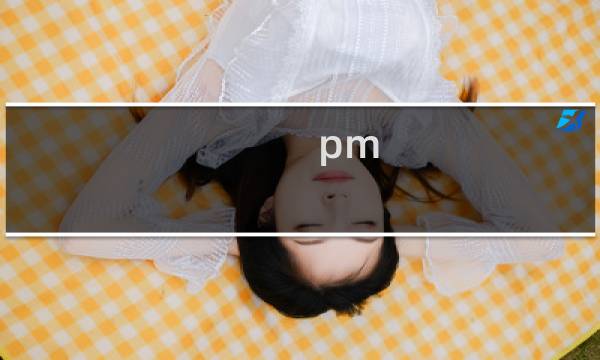 pm 攻略