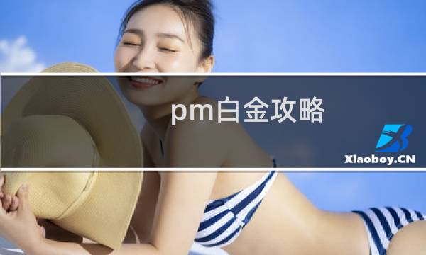 pm白金攻略