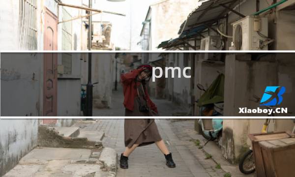 pmc 什么东西