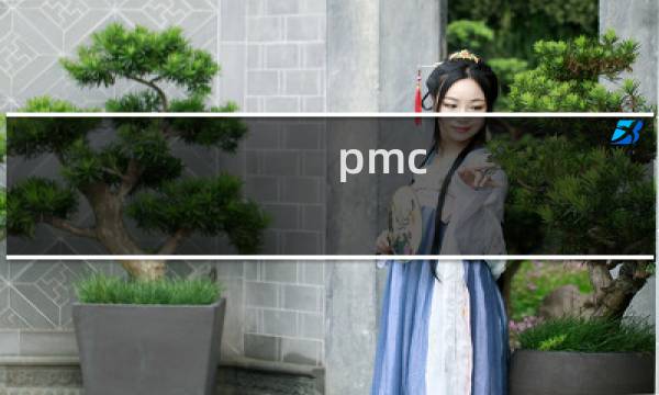 pmc 剧情